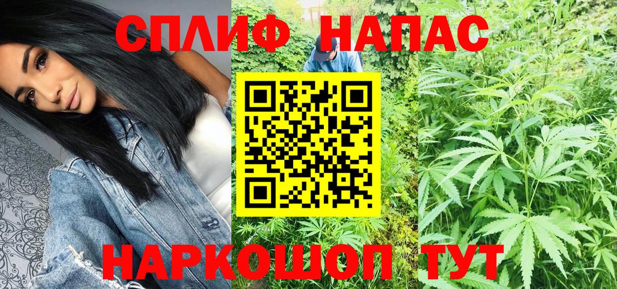 Каннабис ГИДРОПОН Лосино-Петровский